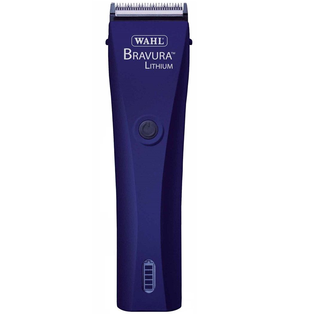 Wahl store bravura mini