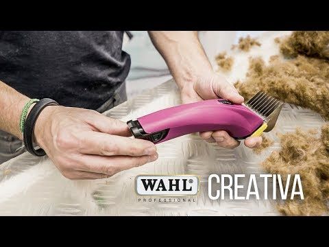 Wahl Creativa Cordless Clipper - Cordless Pet Clipper with Two