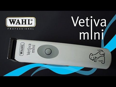 Tondeuse Wahl Vetiva Mini sans fil