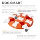 Nina Ottosson Dog Smart Level 1 - łatwa gra interaktywna dla psów, poziom 1