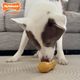 Nylabone Strong Chew Peanut - Peanut-Shaped Dog Chew with Peanut Butter Scent