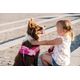 Julius-K9 Paw Patrol Dog Harness Skye - szelki dla psa, Psi Patrol