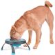 Dexas Popware Collapsible Raised Feeder - Single Dog Bowl with Stand