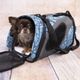 Flamingo Finchley Transport Bag Blue - torba transportowa dla psa, kota, niebieska