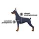 Dashi Boom Front Harness - szelki norweskie dla psa, no-pull, wzór komiks