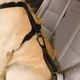 Kurgo Seatbelt Tether - pas samochodowy dla psa, do szelek Kurgo Tru Fit Harness