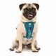 Kurgo Enhanced Strength Tru-Fit Smart Harness Ink - szelki samochodowe dla psa, morskie