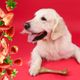 Dashi Fruity Bone Strawberry - gryzak dla psa, z aromatem truskawkowym