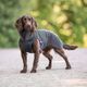 Polar Pomppa Stone - Polar Jacket for Dogs, Gray