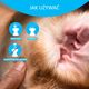 Artero Clear Ear Powder 30g - puder do czyszczenia uszu psa