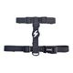 Dashi Colorflex Back Harness Black - regulowane, wodoodporne szelki guard dla psa, czarne