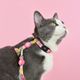 Dashi Donut Cat Harness + Leash - szelki i smycz dla kota, zestaw, wzór pączek