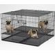 MidWest Puppy Playpen 248-10 Size L - Exercise Pen for Puppies, 122x122x76cm