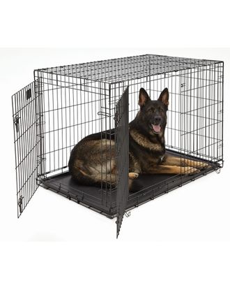 MidWest LifeStages 1648 DD rozmiar XXL - klatka kennelowa dla psa, 124x79x82cm
