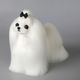 Mr. Jiang Maltese Full Body Hair - wymienna sierść do manekina groomerskiego Small Model Dog, maltańczyk