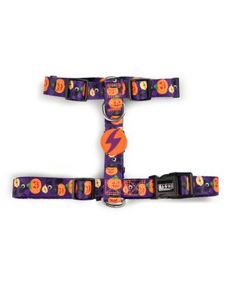Dashi Pumpkin Back Harness - regulowane szelki guard dla psa, wzór w dynie Halloween