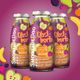 SmoothieDog Fruit Basket 250ml - smoothie dla psa, owoce i superfoods