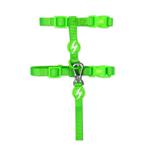 Dashi Neon Green Cat Harness + Leash - nylonowe szelki i smycz dla kota, zestaw, neonowa zieleń