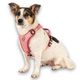 Max&Molly Sport Harness Matrix 2.0 Rose - szelki regulowane dla psa, z identyfikatorem QR, pastelowy różowy