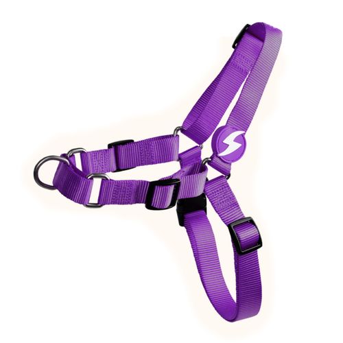 Dashi Solid Front Harness Purple - szelki norweskie dla psa, no-pull, fioletowe