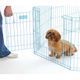 MidWest Life Stages Blue Exercise Pen - Blue Playpen for Puppies & Small Dogs, 61x61cm Panel