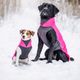 Jumppa Pomppa Pink - polar dla psa, różowy