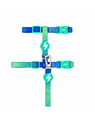 Dashi Lumix Borealis Cat Harness + Leash - szelki i smycz dla kota, zestaw, niebiesko-zielone