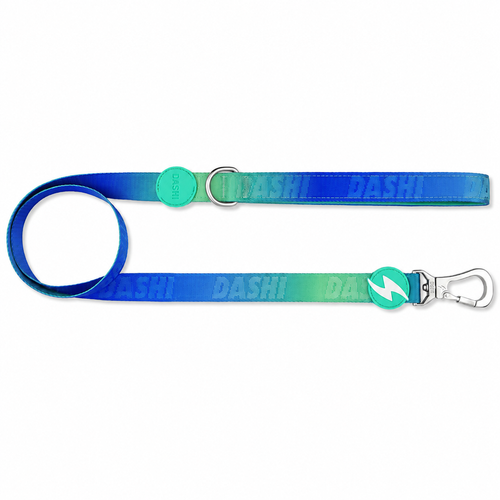 Dashi Lumix Borealis Leash 120cm - miejska smycz taśmowa dla psa, niebiesko-zielona