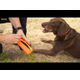 Julius-K9 Multidummie Double Hand - wielofunkcyjny szarpak dla psa, zabawka do wody