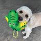 KONG Cozie Tuggz Frog S/M - pluszowa żaba z liną, zabawka dla małego i średniego psa z piszczałką