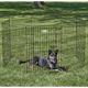 MidWest ConTour Exercise Pen - Enclosure, Fence, Playpen for Dogs, Height 91cm
