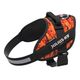Julius-K9 IDC Powerharness Pixeljuice - szelki dla psa, z odblaskami, pomarańczowe piksele