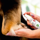 Moser Pretty Paw 75ml - odżywczy preparat do pielęgnacji łap psów i kotów, z atomizerem