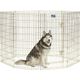 MidWest Gold Zinc Exercise Pen 61x122cm - Durable Gold-Colored Zinc-Plated Dog Playpen