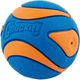 Chuckit! Ultra Squeaker Ball L (7,6cm) - sprężysta piłka dla psa, z piszczałką