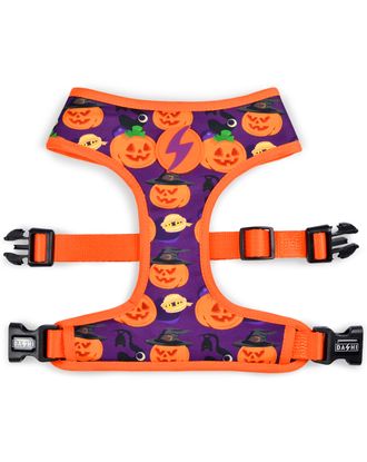 Dashi Pumpkin Neo Mesh Harness - bezuciskowe, dwustronne szelki dla psa, wzór w dynie Halloween