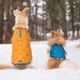 Kurgo Loft Jacket Blue/Orange - dwustronna kurtka wodoodporna dla psa, niebiesko-pomarańczowa
