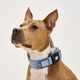 Max&Molly GOTCHA! Smart ID Matrix 2.0 Extra Wide Collar Ocean - Wide Dog Collar with QR ID Tag, Blue