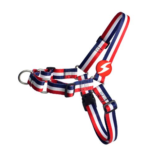 Dashi Stripes Red & Blue Front Harness - szelki norweskie dla psa, no-pull, paski czerwono-niebieskie