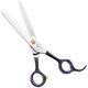P&W The BlackSmith Thinning Scissorss 6,5" - najwyższej jakości, profesjonalne degażówki jednostronne, 48 ząbków