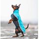 Sportti Pomppa Arctic - wodoodporny softshell dla psa, niebieski