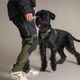 Hurtta Rover Harness Forest - Adjustable Harness for Medium & Large Dogs, Green