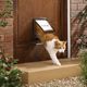 PetSafe Staywell Original 2-Way Pet Door Brown - drzwiczki dla psa i kota, klasyczne, brązowe
