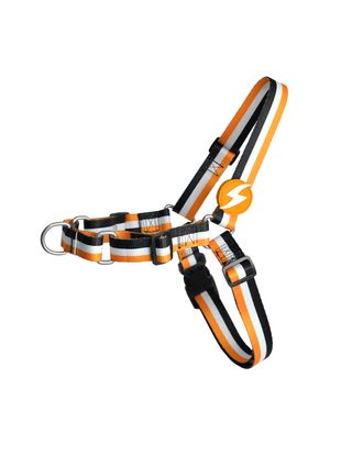 Dashi Stripes Orange & Black Front Harness - szelki norweskie dla psa, no-pull, paski