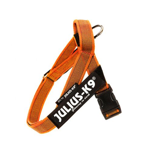 Julius-K9 IDC Color&Gray Belt Harness Orange - szelki pasowe, uprząż dla psa, pomarańczowe