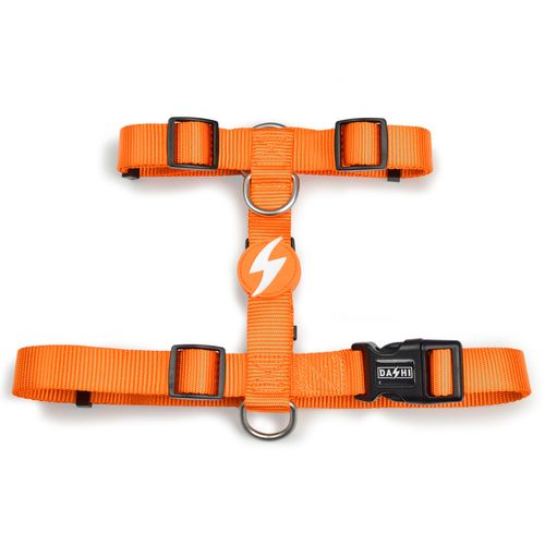 Dashi Solid Back Harness Orange - regulowane szelki guard dla psa, pomarańczowe