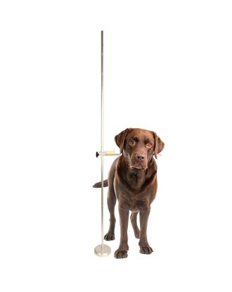 Show Tech Professional Adjustable Dog Measure Stick - profesjonalna miara kynologiczna
