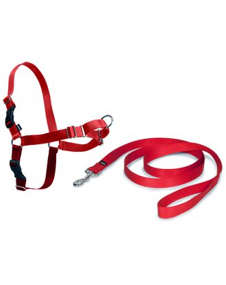 PetSafe Easy Walk Harness Red - szelki i smycz dla psa, zestaw czerwony