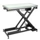 Blovi Luminous Pro Black 120x65cm - Professional Grooming Table with Electric Lift & LED-Illuminated Glass Top