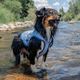 Kurgo Cooling Vest - kamizelka chłodząca dla psa